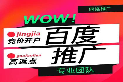 SEM推广公司案例：助力企业实现品牌战略布局